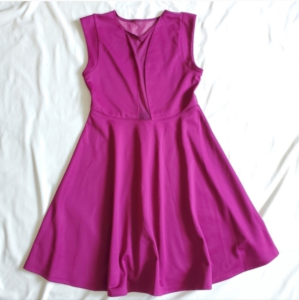 Forever 21 Magenta Fit and Flare Skater Dress Small